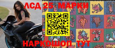 Альфа ПВП Кандалакша