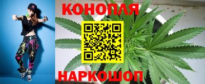 гидропоника Камышлов