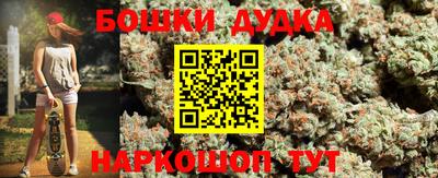 гидропоника Камышлов
