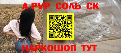 Альфа ПВП Кандалакша