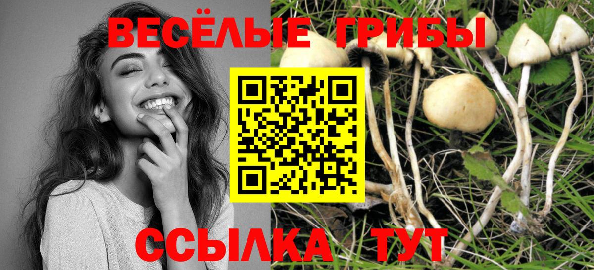 купить   Галлюциногенные грибы Psilocybe  Вход с VPN  Кропоткин 